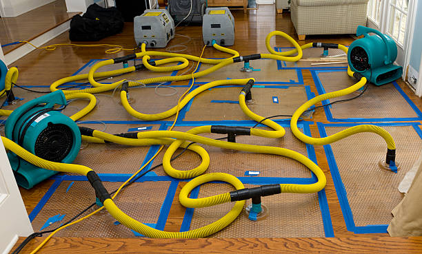 Professional Water Damage Repair technician working in Long Key, FL